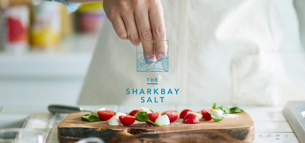 THE SHARKBAY SALT